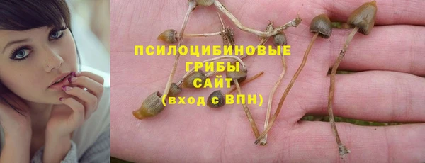 дживик Дмитровск