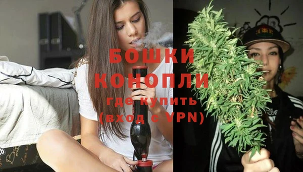 дживик Дмитровск