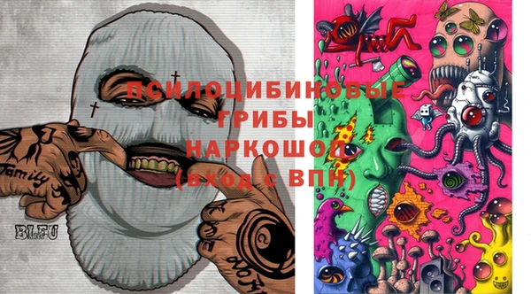 таблы Дмитриев